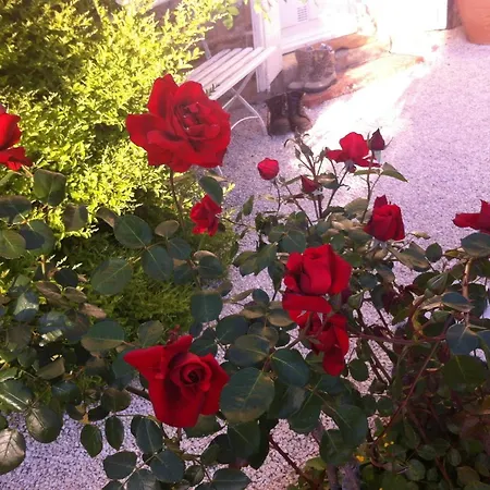 ベッド・アンド・ブレックファスト L'ecrin ヴィルヌーヴ・シュル・ロット