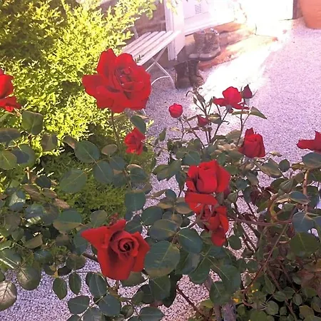 Bed and breakfast L'ecrin Villeneuve-sur-Lot